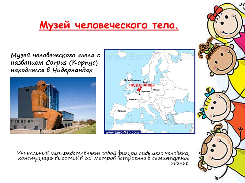 Музей человеческого тела.  Музей человеческого тела с названием Corpus (Корпус) находится в Нидерландах